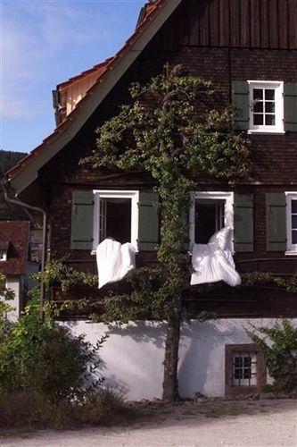 Gutshof-Hotel Waldknechtshof Baiersbronn Eksteriør bilde